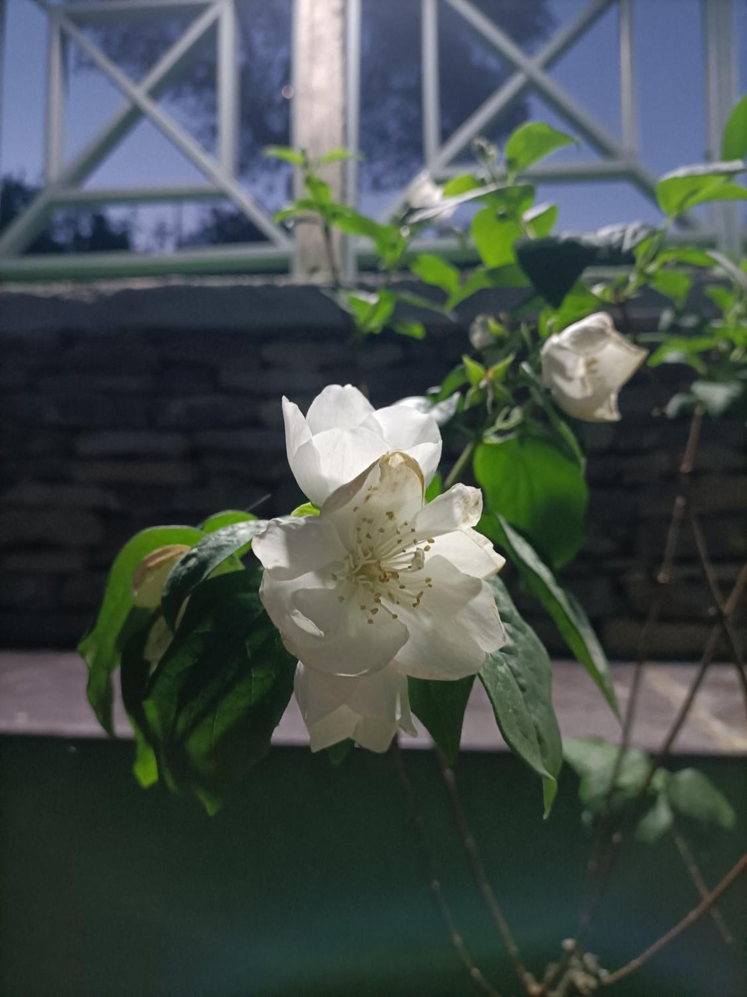 Casa Del Canta Borgomale Eksteriør bilde